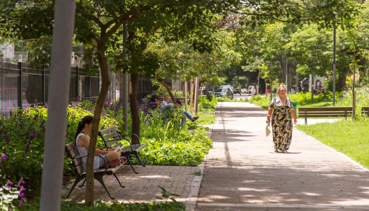 20240110 SSMU Calle Verde Ramón Falcón Final-7608.jpg