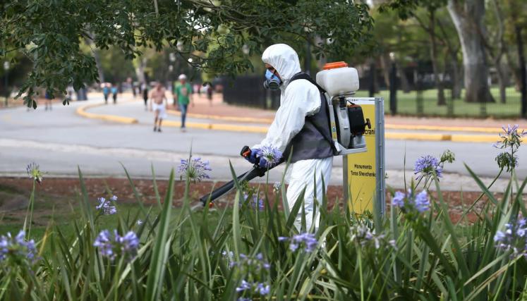 Desinsectación de mosquitos en la Ciudad.