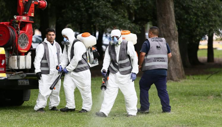 Desinsectación de mosquitos en la Ciudad.