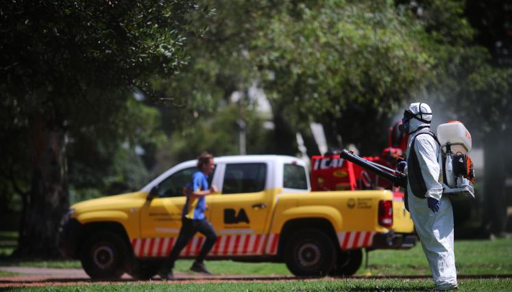 Desinsectación de mosquitos en la Ciudad.