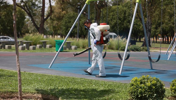 Desinsectación de mosquitos en la Ciudad.