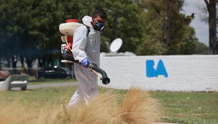 Desinsectación en la Ciudad