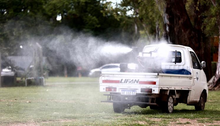 Desinsectación de mosquitos en la Ciudad.