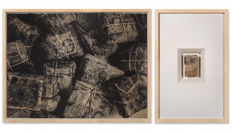 Benzi Foggia_Hatos de identidad