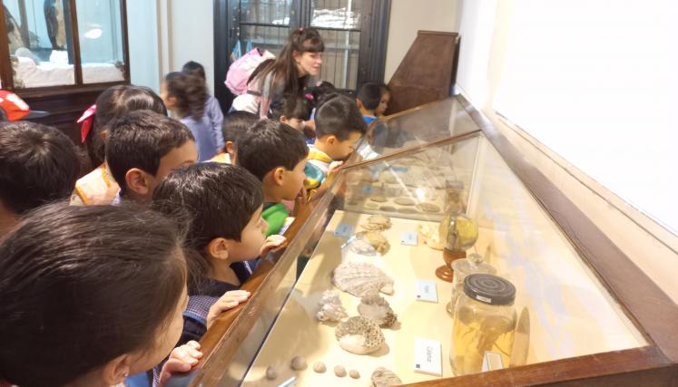 Conocé el museo bernasconi