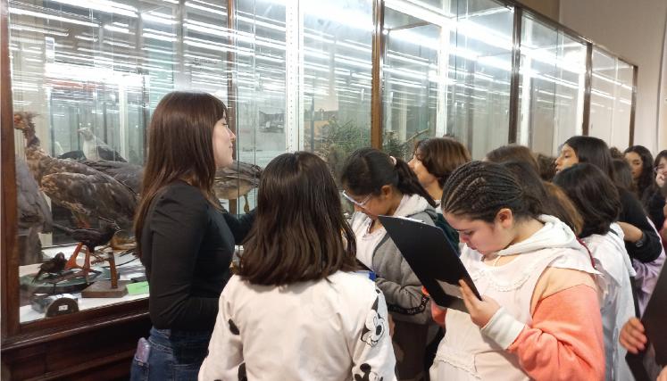 Conocé el museo bernasconi