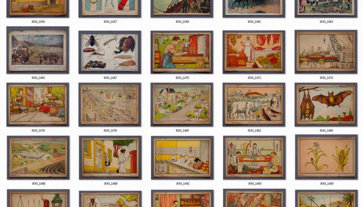 Digitalización de la serie láminas escolares 