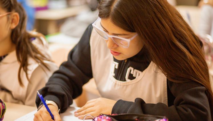 Pausas Evaluativas 2024