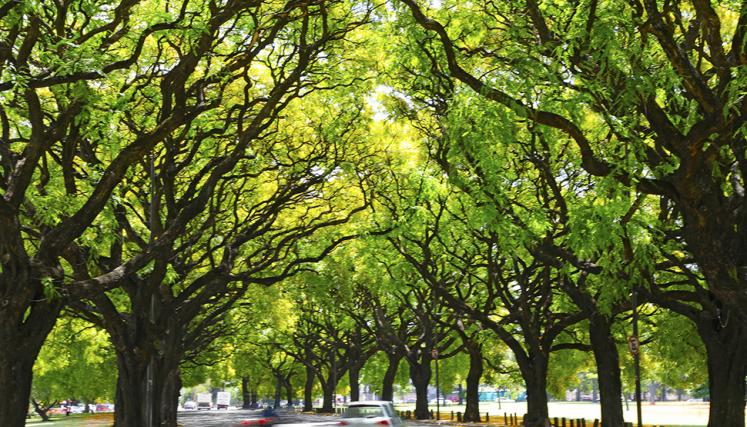 En la imagen se observa un corredor de Tipas