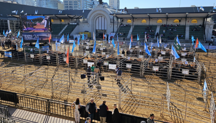 Expo Rural 2024