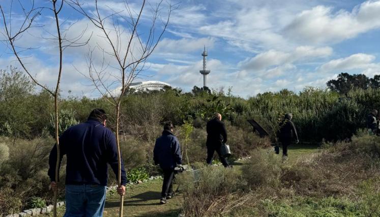 Voluntarios plantaron árboles nativos