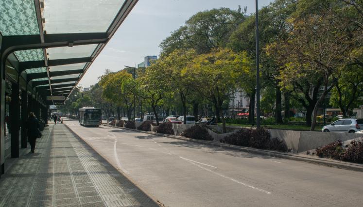 Se observan árboles en el metrobús 9 de julio