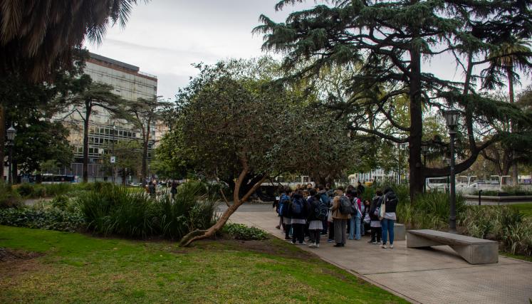 En la imagen se observan personas en una plaza