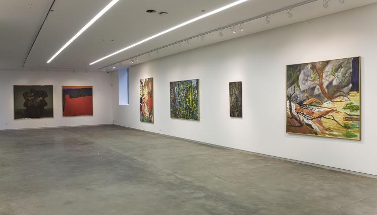 tierra caos y germen 9