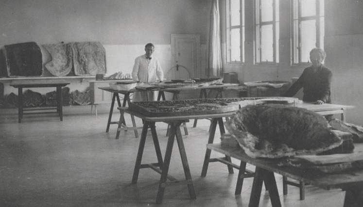 Rosario vera Peñaloza