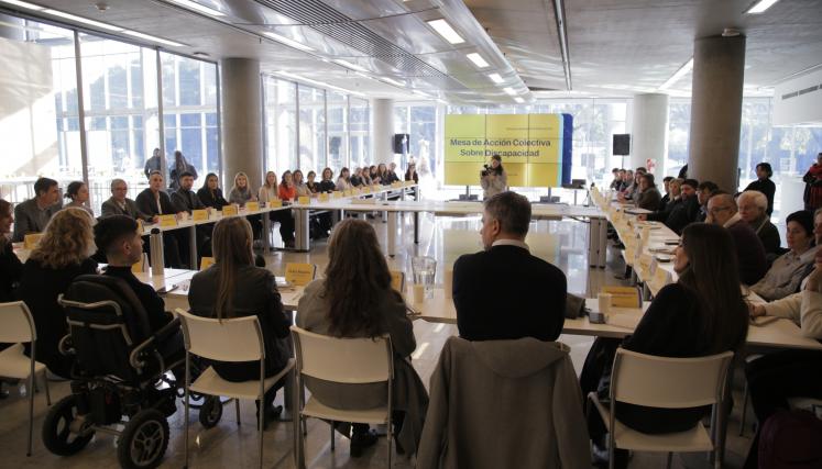 Mesa de acción colectiva de discapacidad