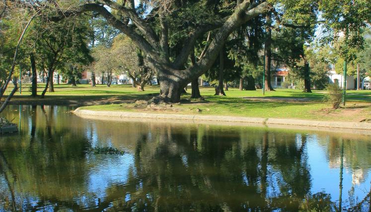laguna artificial parque saavedra