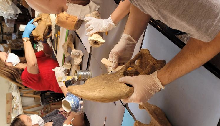 Semana del Patrimonio 2024 | 08