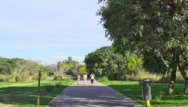 Vista panorámica de la Reserva Costanera Norte, en la que se ven personas caminando.