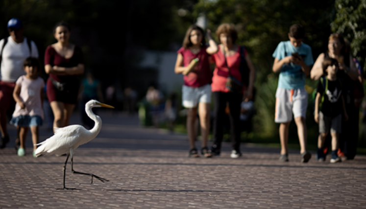 Personas observando un ave en el Ecoparque