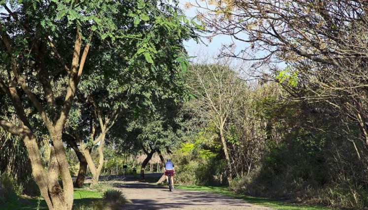 Vista del camino de la reserva, donde se ve una persona andando en bici.