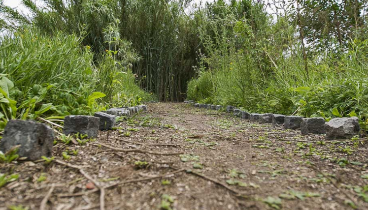 Camino de la Reserva.