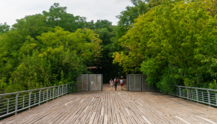 Ingreso de la Reserva