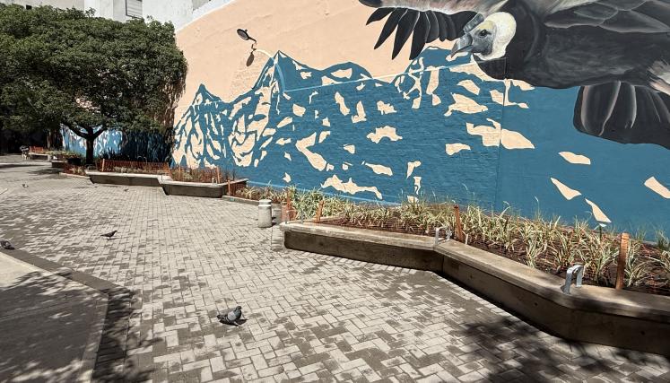 Plazoleta del Árbol