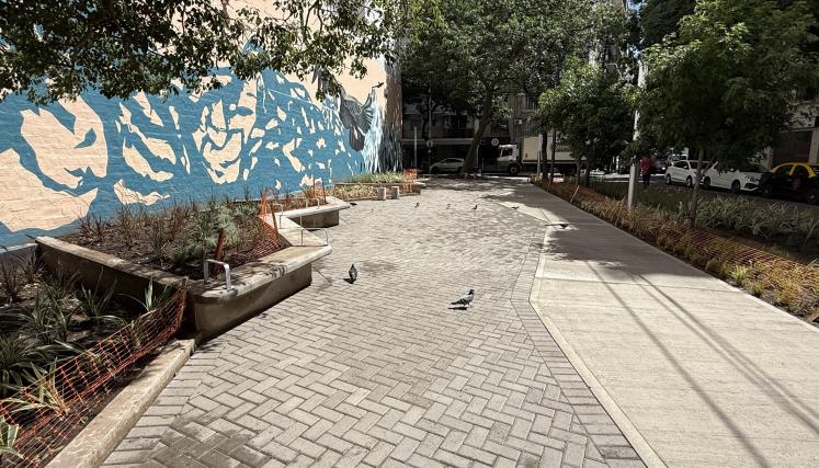 Plazoleta del Árbol