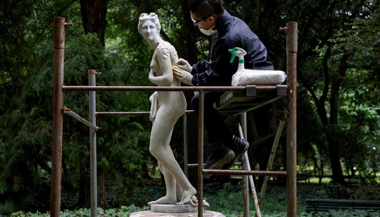 MOA - Botánico 1.jpeg