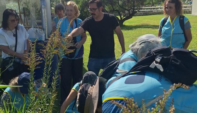 Voluntariado en CIFA