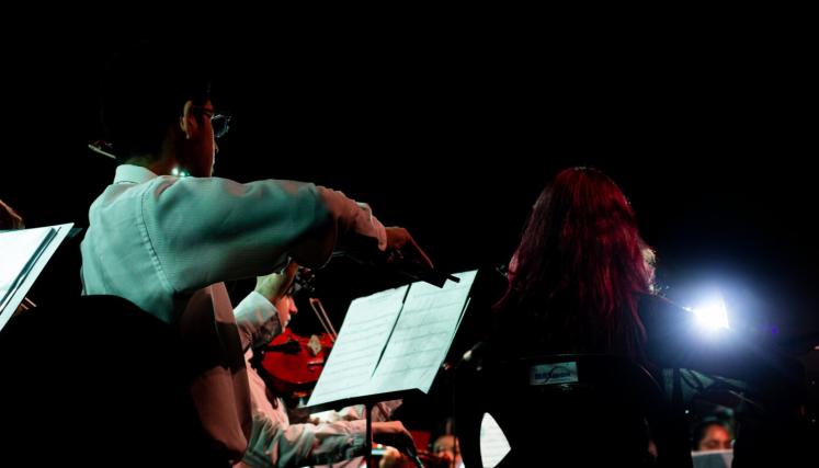 Orquesta Juvenil del Sur