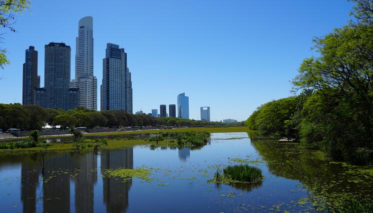 Reserva Ecológica Costanera Sur