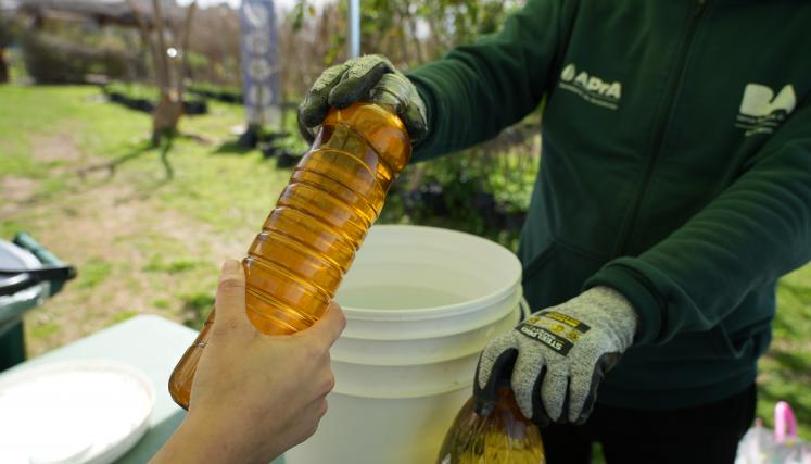 Economía Circular: reciclado de AVUS