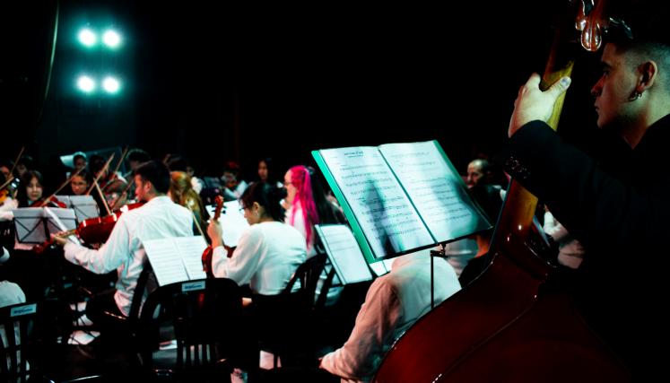 orquesta juvenil del sur