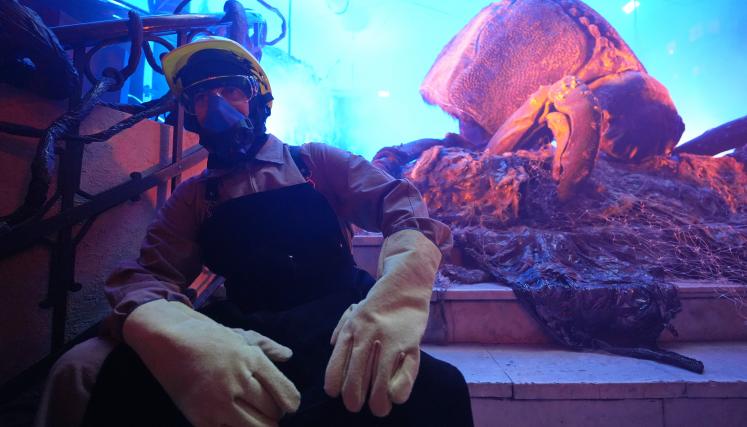 Activación eternauta 14