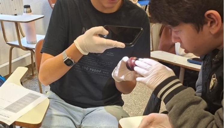 vinculación con el futuro