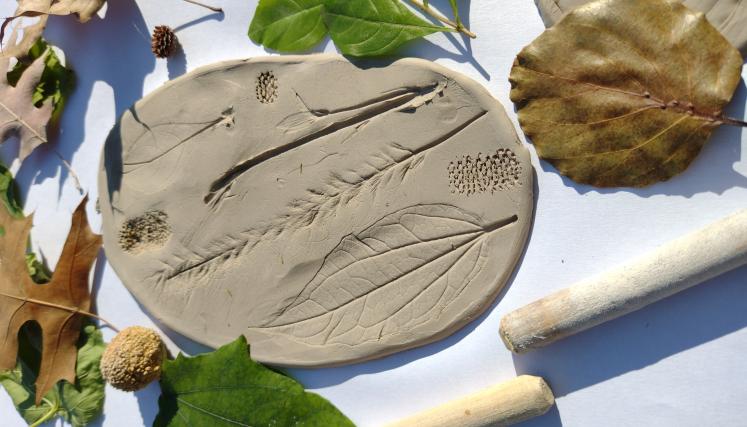Huella de hojas en un bloque de arcilla