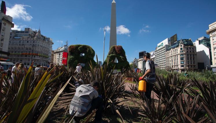 WhatsApp Image 2025-07-10 at 13.16.43.jpeg