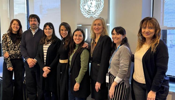 Mesa de trabajo interinstitucional en PNUD