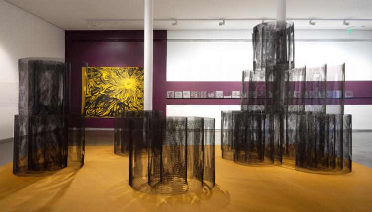 Expo Verso y reverso, Rodrigo Vergara