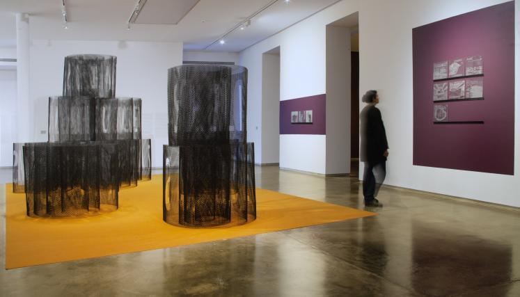 Expo Verso y reverso, Rodrigo Vergara