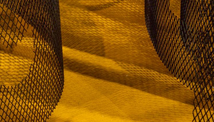 Expo Verso y reverso, Rodrigo Vergara