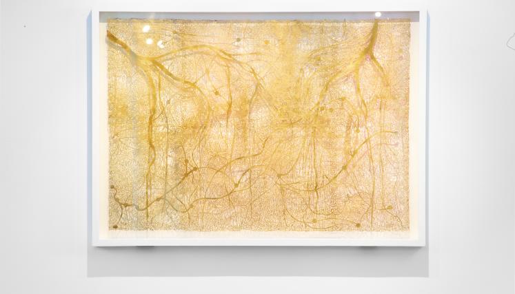 Andrés Paredes. Museo Sívori