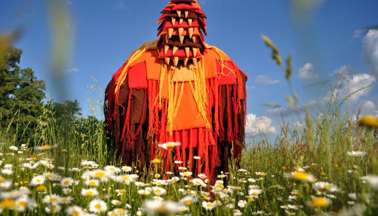 1. Imagen Tadeo Muleiro_1.JPG