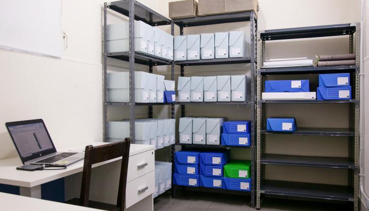 archivo bernasconi 2