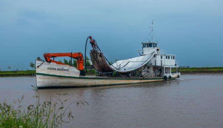 Floralis 2.jpeg