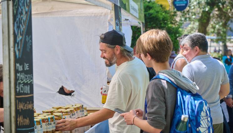 Feria de las Regiones - Edición Patagonia y Litoral