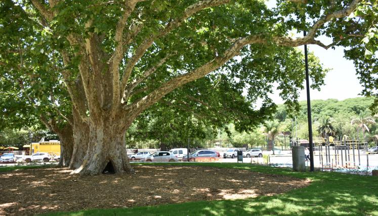 Plazoleta Don Enrique el navegante