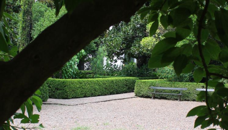 Juguemos bajo el ombú 